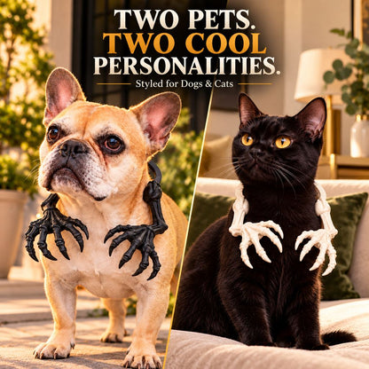 skeleton claw pet costume on dog and cat