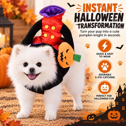 pumpkin knight dog costume instant halloween transformation