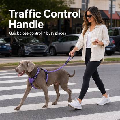 Paws in Awe Reflective Dog Car Seat Belt Leash for Backseat Travel & Daily Walks - Shock-Absorbing Bungee Tether to Help Reduce Pulling & Driver Distraction image 5