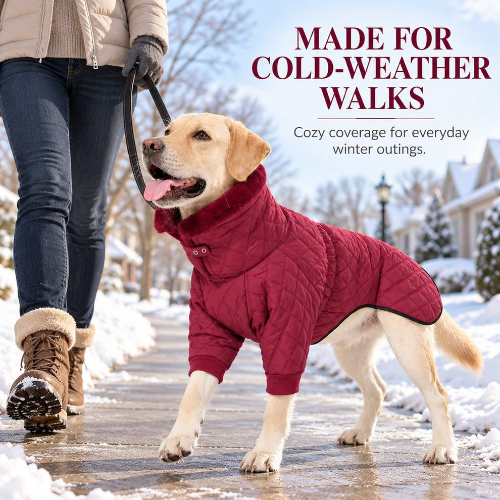 burgundy quilted dog winter coat for cold-weather walks