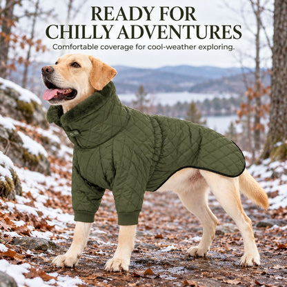 army green quilted winter dog coat for chilly outdoor adventures