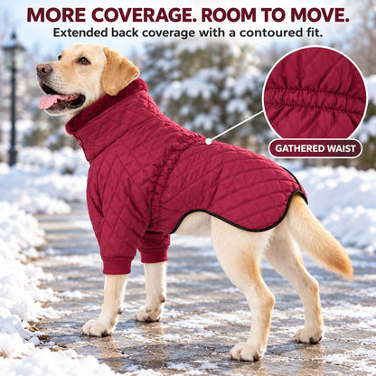 extended back coverage and gathered waist on a burgundy dog coat