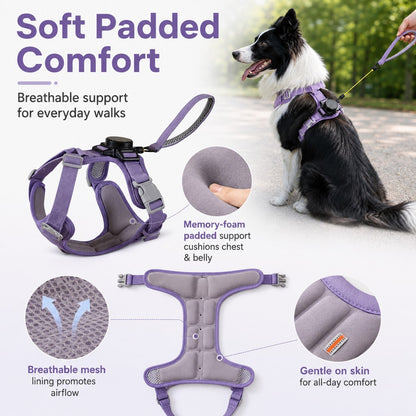 Paws in Awe 2-in-1 Retractable Dog Harness for Daily Walks - Built-In Leash Vest with Auto-Stop Control for Small & Medium Dogs image 6