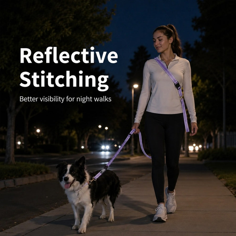 Paws in Awe Hands-Free Shock-Absorbing Dog Leash for Running, Walking & Car Travel - Bungee Leash Helps Reduce Pulling image 4