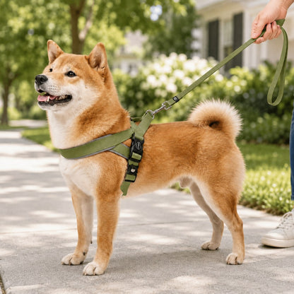 Quick fit lightweight dog harness leash set gallery image 2