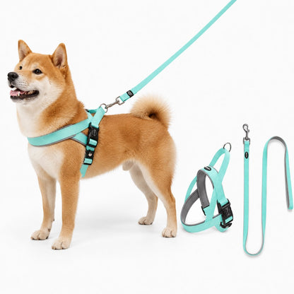 Paws in Awe Quick-Fit Lightweight Dog Harness & Leash Set for Daily Walks - No-Choke Step-In Comfort with Secure Buckle & Back Control Handle image 12