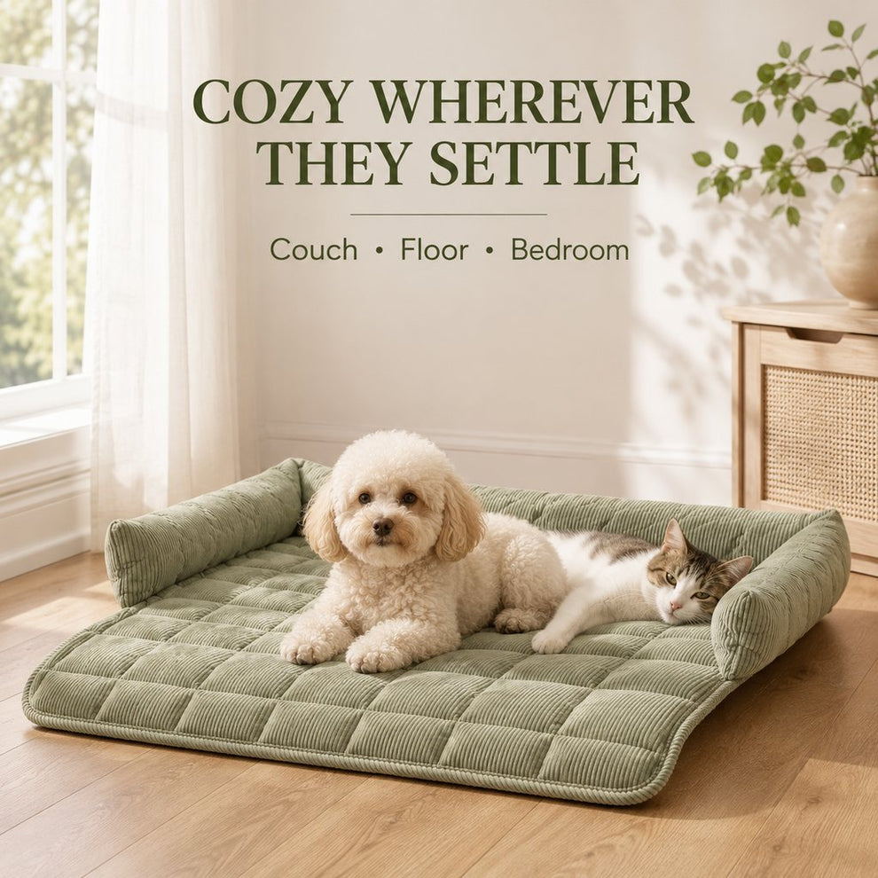 Three-sided bolster pet couch bed on sofa