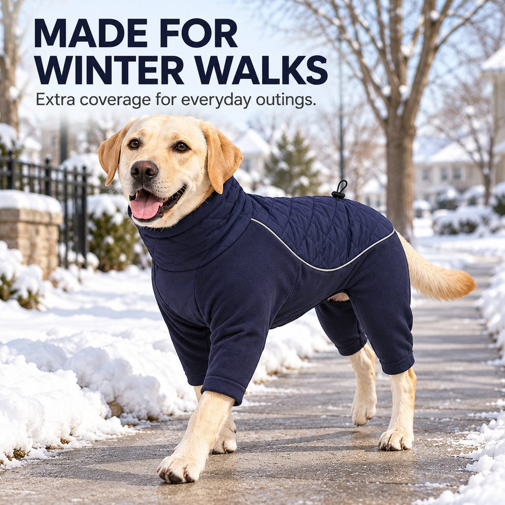 navy blue winter dog snowsuit for cold-weather walks