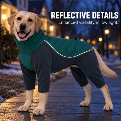 teal green reflective trim dog snowsuit in low light