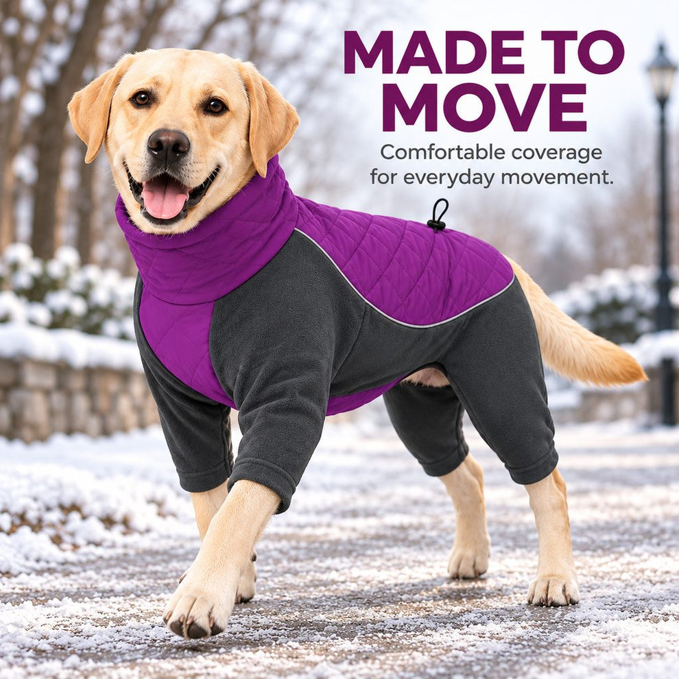 purple four-leg dog snowsuit designed for movement