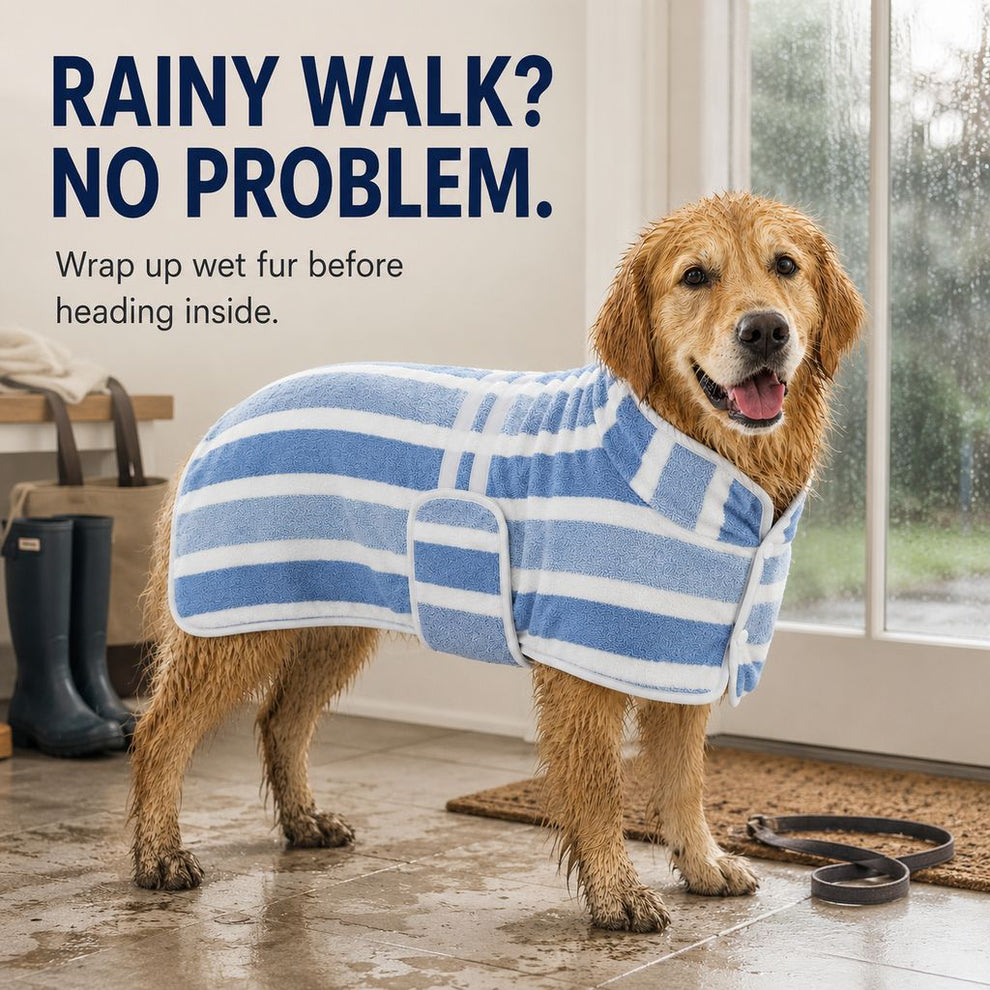 Blue wearable dog drying wrap for rainy walks
