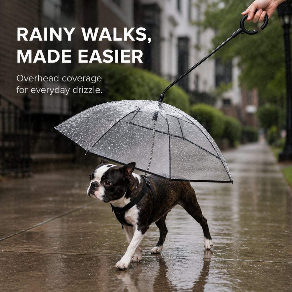Rainy walks made easier with clear dog umbrella