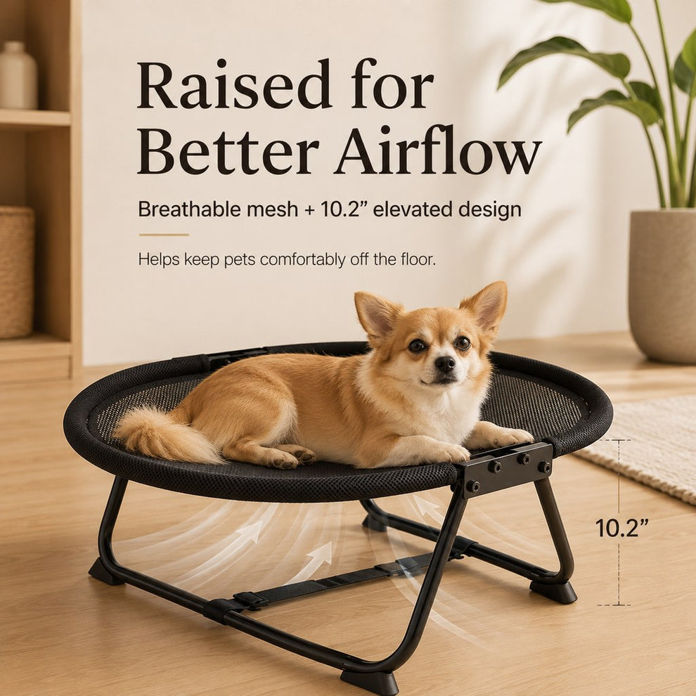 Raised breathable mesh pet cot with airflow design