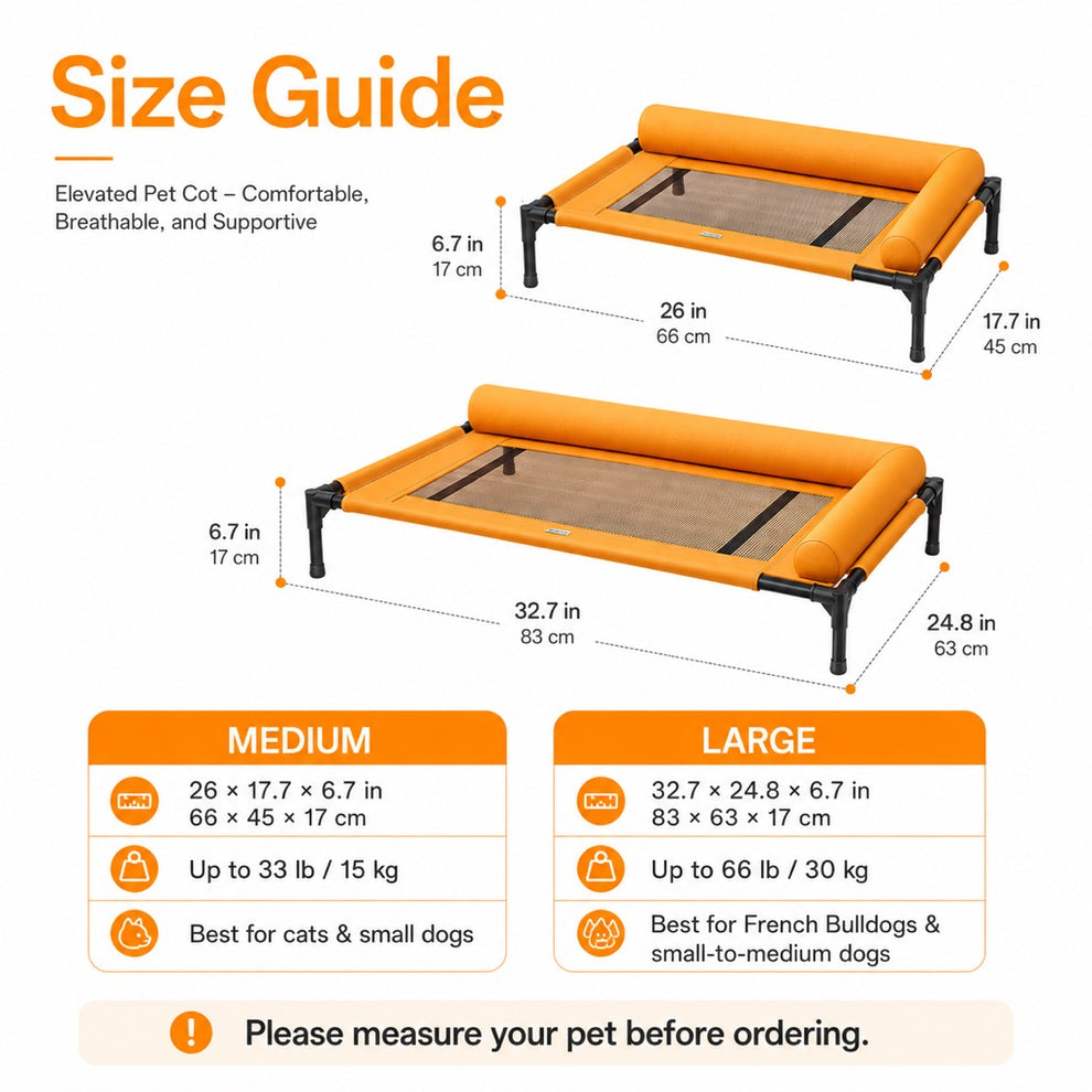 Raised dog bed off floor design for cleaner rest
