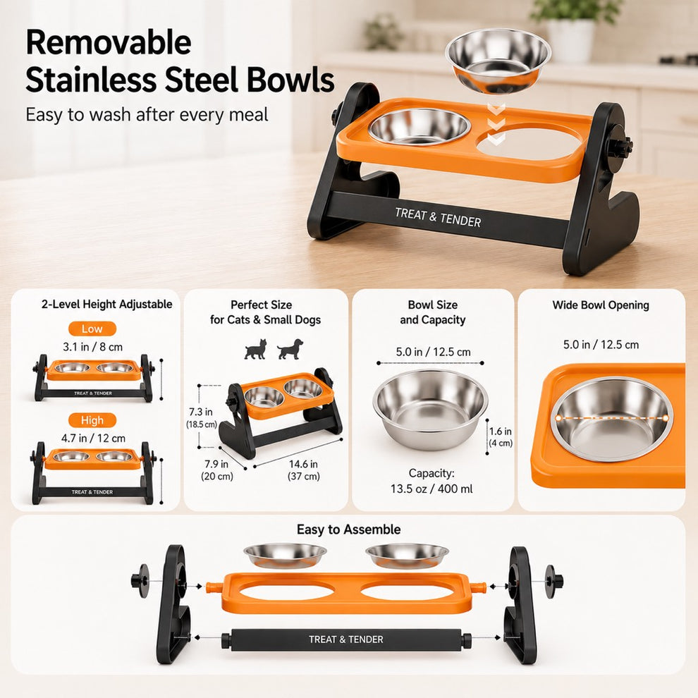 Raised double pet bowl with removable stainless steel bowls