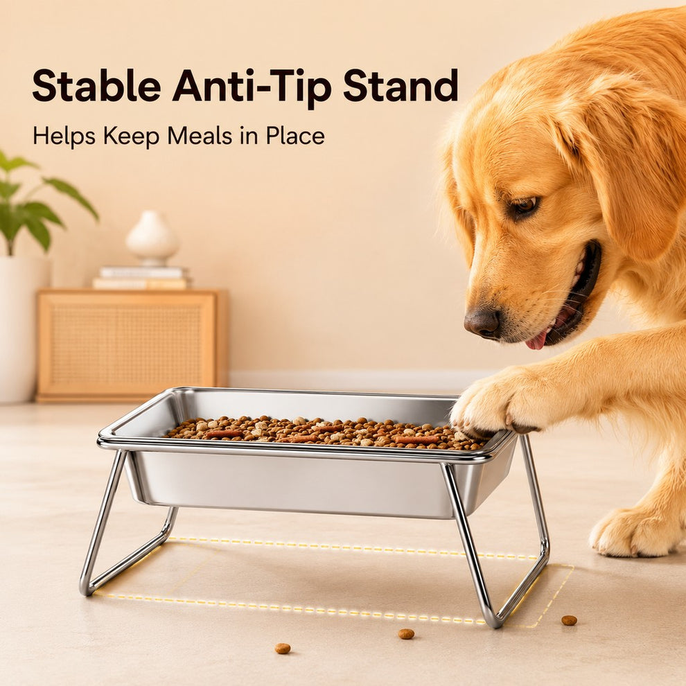 Paws in Awe Elevated 304 Stainless Steel Pet Bowl with Stand for Cats & Dogs - Anti-Tip Raised Feeder for Cleaner Meals image 4