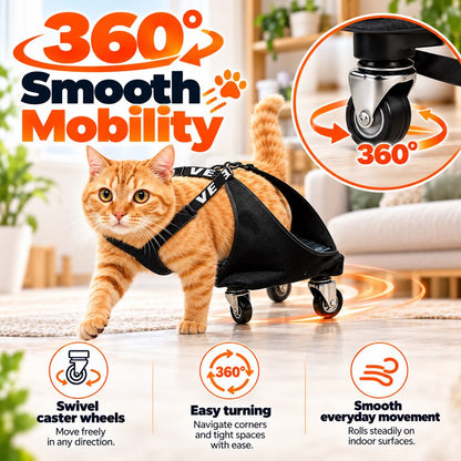 360-degree swivel caster wheels on a rear-leg pet wheelchair