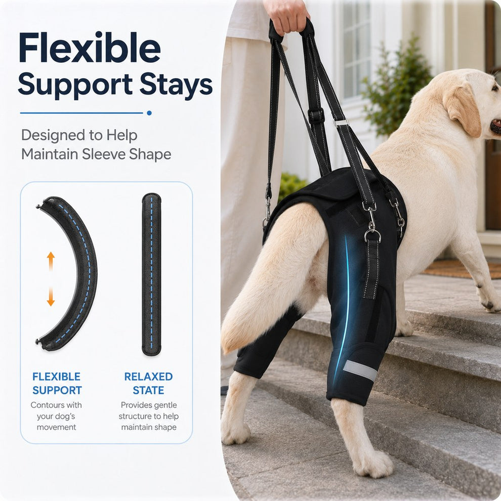 Rear-leg support lift leash for senior dog mobility assistance
