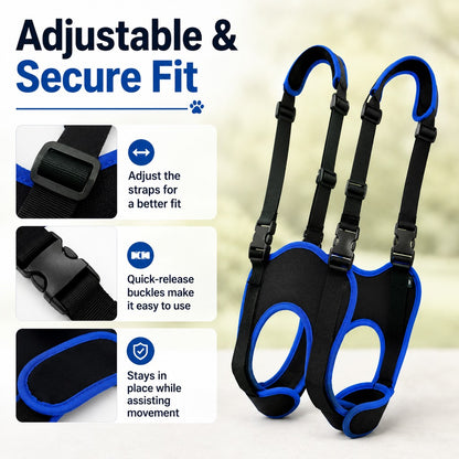 Paws in Awe Rear Leg Support Sling for Dogs - Lift Assist Harness for Senior Dogs on Stairs, Cars & Daily Walks image 5
