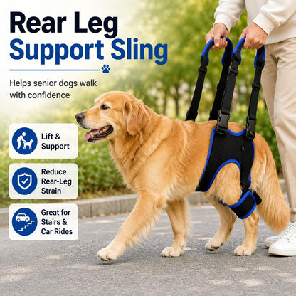 Paws in Awe Rear Leg Support Sling for Dogs - Lift Assist Harness for Senior Dogs on Stairs, Cars & Daily Walks image 4