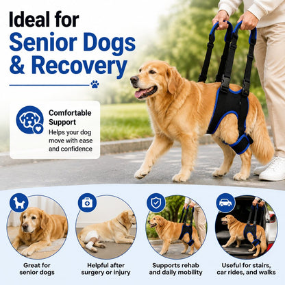 Paws in Awe Rear Leg Support Sling for Dogs - Lift Assist Harness for Senior Dogs on Stairs, Cars & Daily Walks image 3