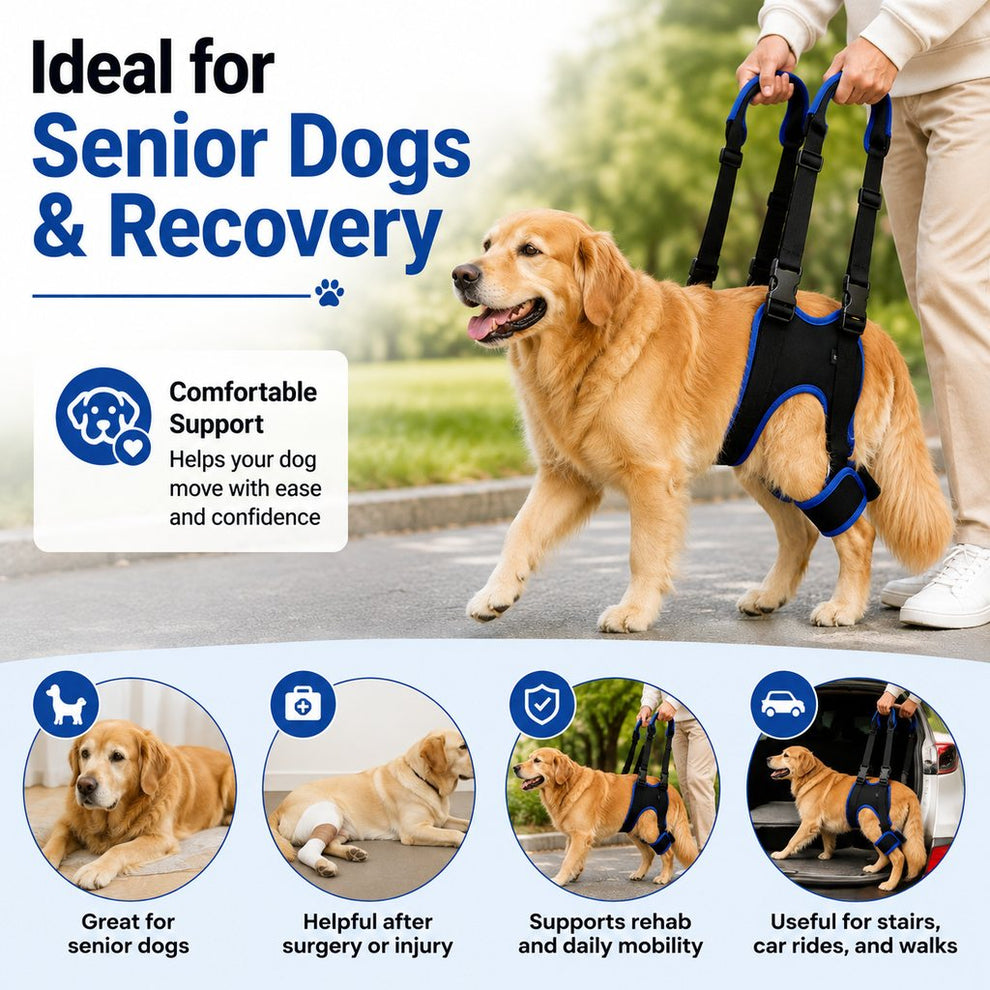 Paws in Awe Rear Leg Support Sling for Dogs - Lift Assist Harness for Senior Dogs on Stairs, Cars & Daily Walks image 3