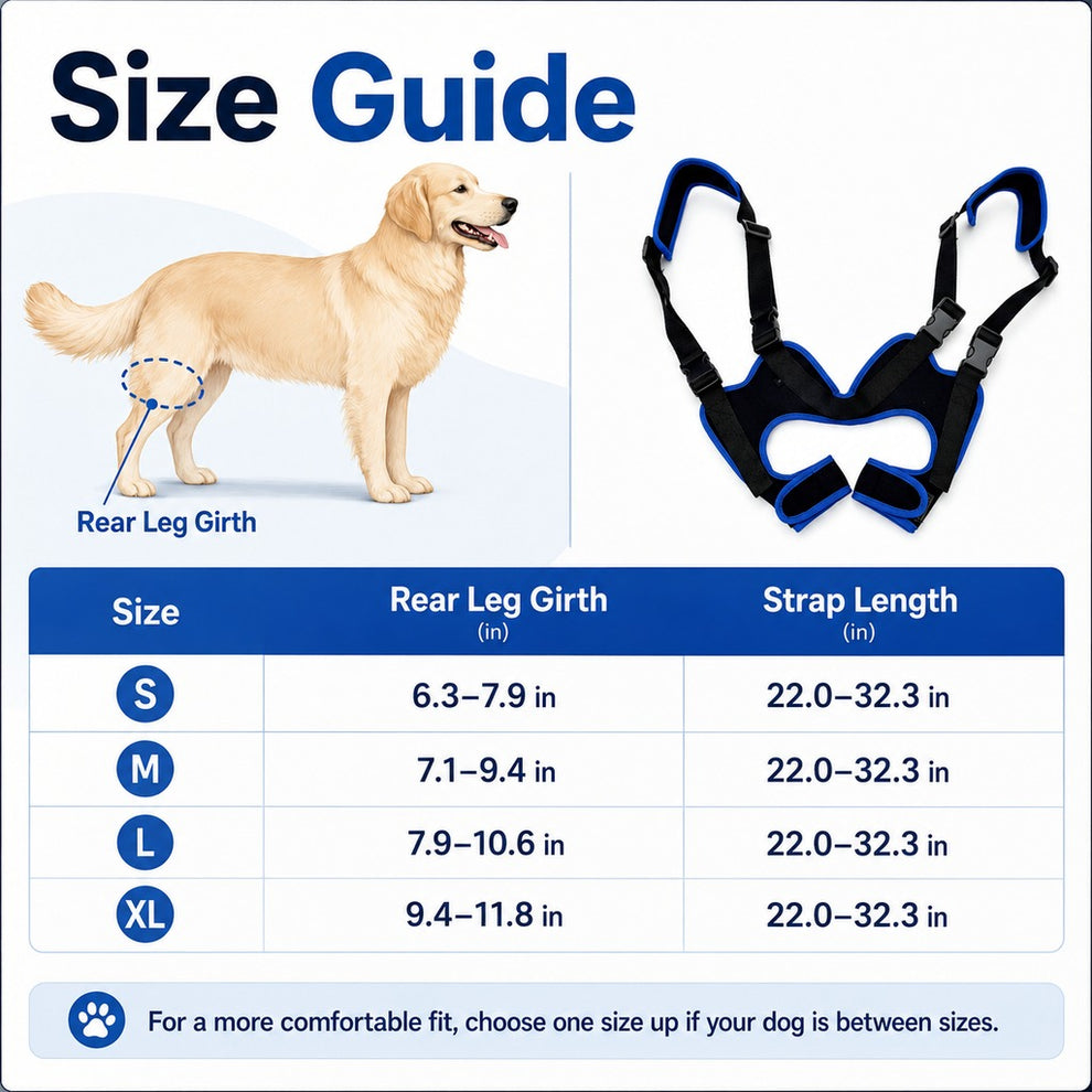 Paws in Awe Rear Leg Support Sling for Dogs - Lift Assist Harness for Senior Dogs on Stairs, Cars & Daily Walks image 8
