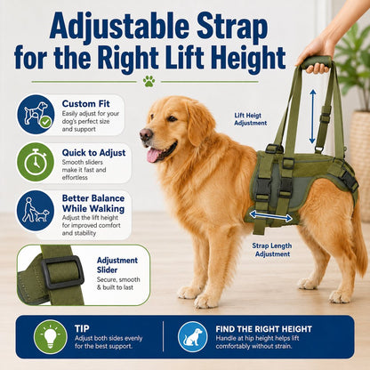 Paws in Awe Rear Support Dog Lift Harness for Stairs, Walks & Recovery - Padded Assist Harness for Senior, Injured & Weak-Hind-Leg Dogs image 6