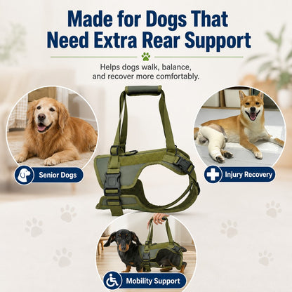Paws in Awe Rear Support Dog Lift Harness for Stairs, Walks & Recovery - Padded Assist Harness for Senior, Injured & Weak-Hind-Leg Dogs image 10