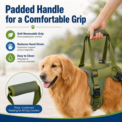 Paws in Awe Rear Support Dog Lift Harness for Stairs, Walks & Recovery - Padded Assist Harness for Senior, Injured & Weak-Hind-Leg Dogs image 4