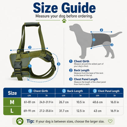 Paws in Awe Rear Support Dog Lift Harness for Stairs, Walks & Recovery - Padded Assist Harness for Senior, Injured & Weak-Hind-Leg Dogs image 11