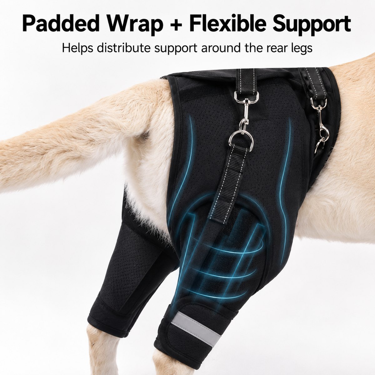 Wraparound rear support panel helps provide steadier assistance around the hips and hind legs.