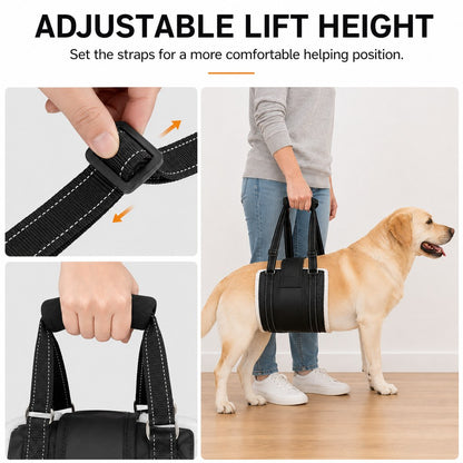 Adjustable lifting straps and padded handle on rear dog support sling