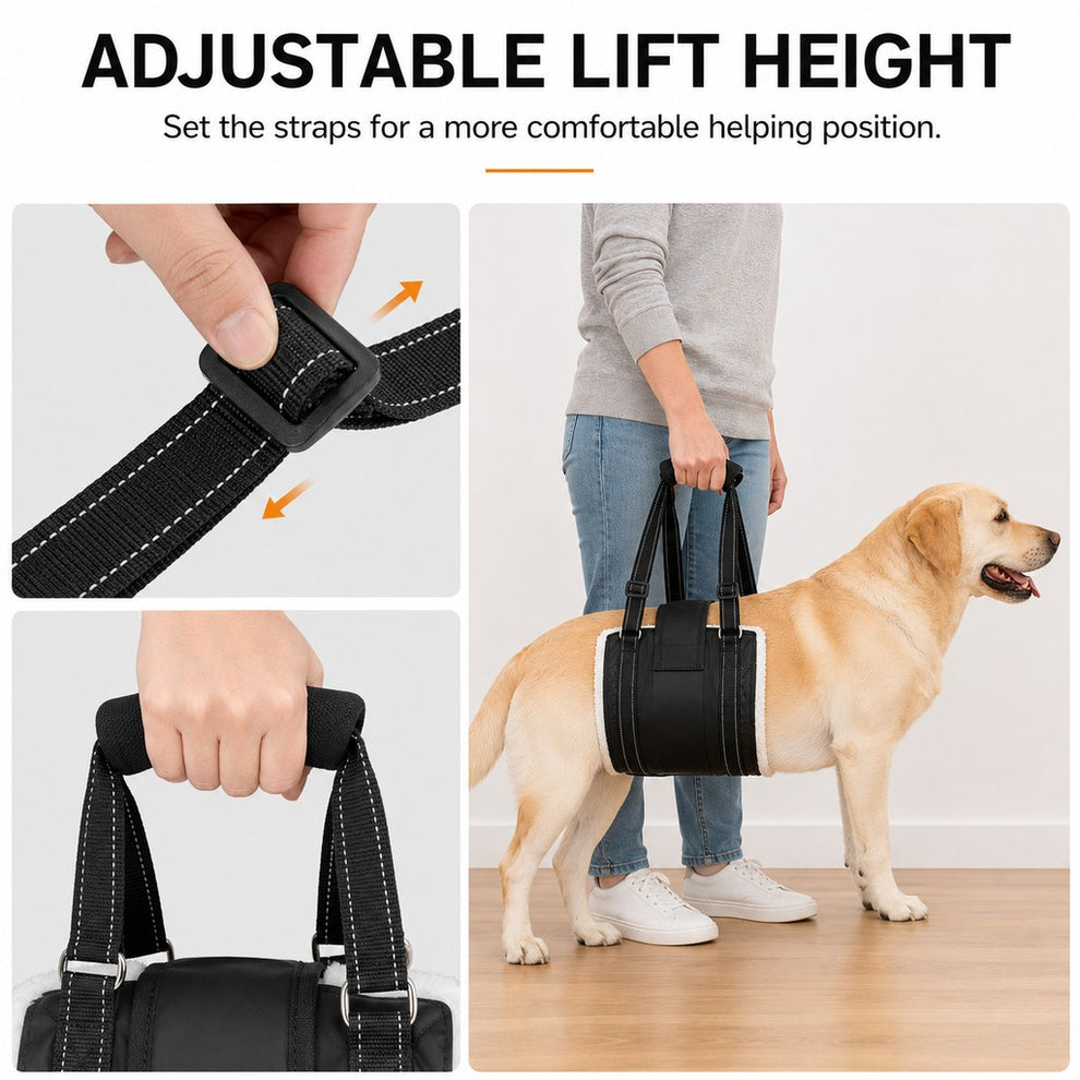 Adjustable lifting straps and padded handle on rear dog support sling