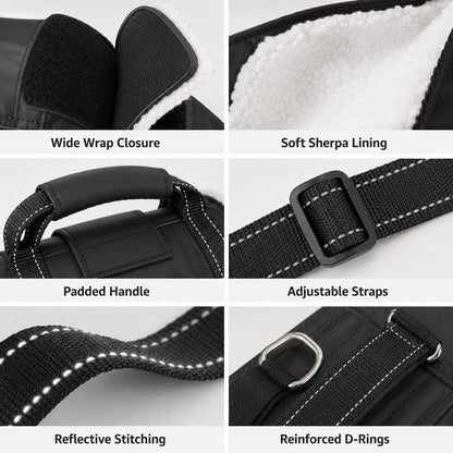 Rear support dog lift sling details including lining straps handle and D-rings