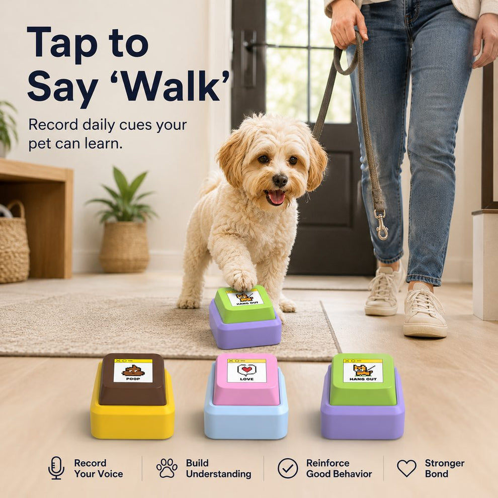 Recordable pet button for walk cue training
