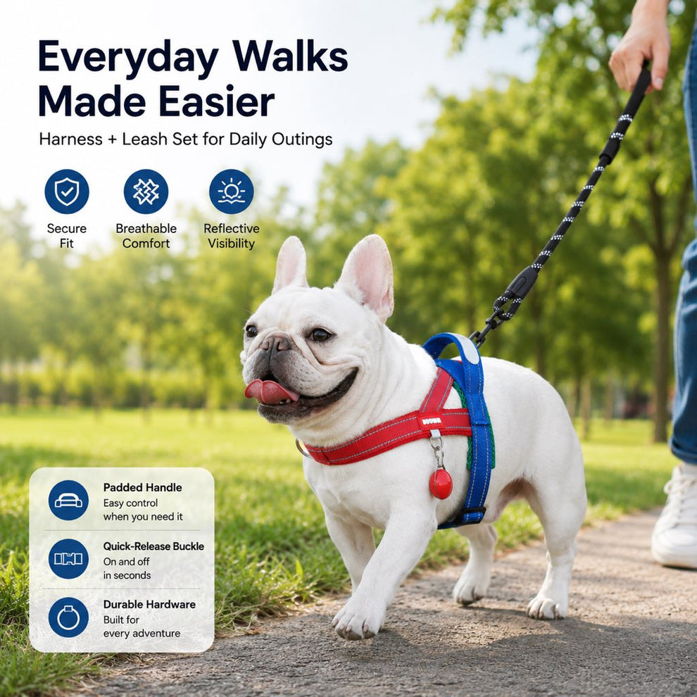 Paws in Awe No-Choke French Bulldog Harness & Leash Set for Daily Walks - Reflective, Easy-Control Fit for Broad-Chest Dogs image 2