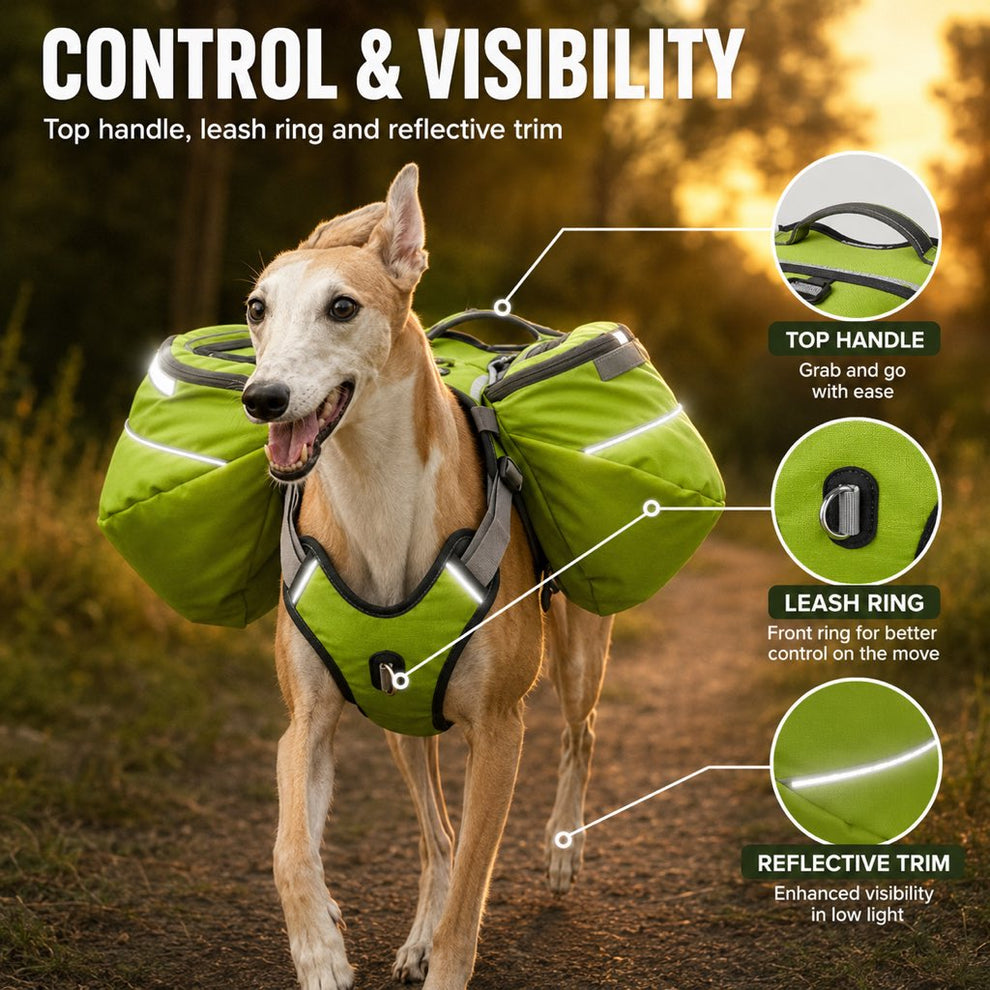 Reflective dog backpack for low-light walks