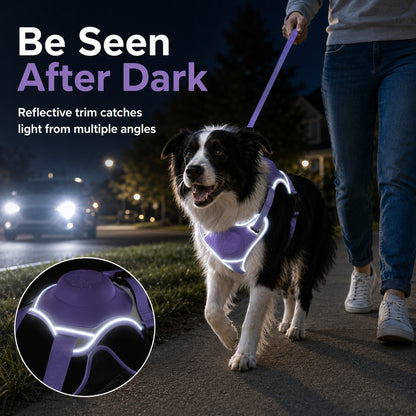 Paws in Awe No-Pull Reflective Dog Harness with Built-In Retractable Leash for Safer Daily Walks image 5