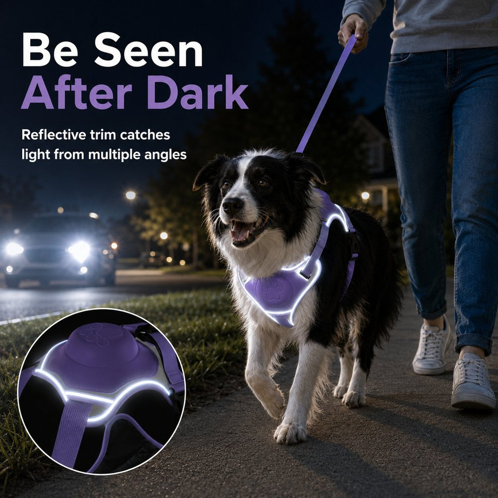 Paws in Awe No-Pull Reflective Dog Harness with Built-In Retractable Leash for Safer Daily Walks image 5