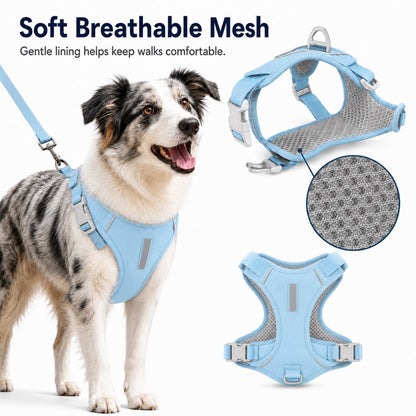 Paws in Awe Reflective Dog Harness for Night Walks, Daily Park Walks & No-Neck-Pull Comfort image 6