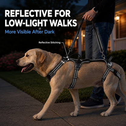 Paws in Awe Full Body Dog Lift Harness for Stairs & Car - Mobility Support for Weak Hind Legs image 7