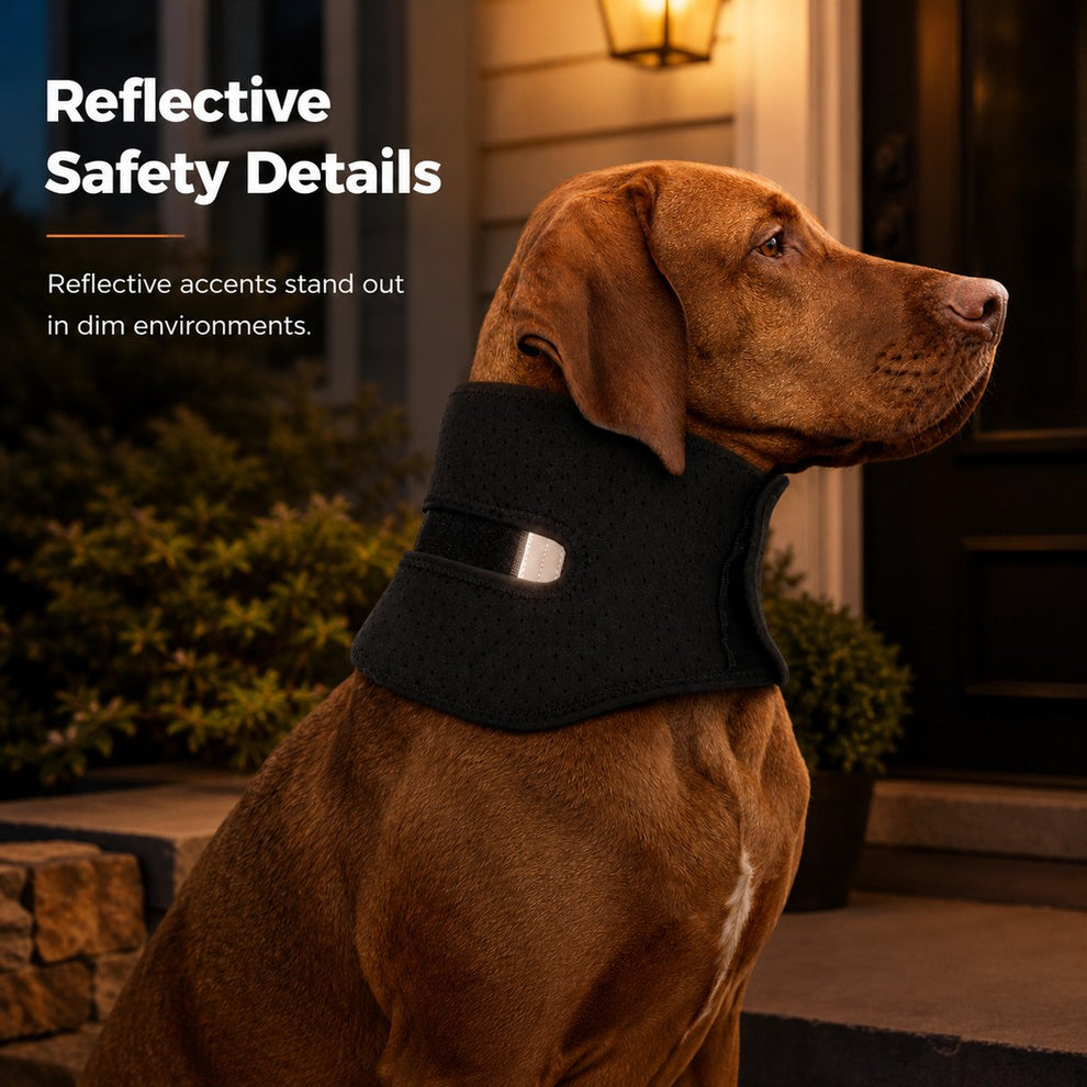 Paws in Awe Adjustable Dog Neck Support Brace for Rest & Recovery - Breathable Cervical Collar for Limited Neck Movement image 8