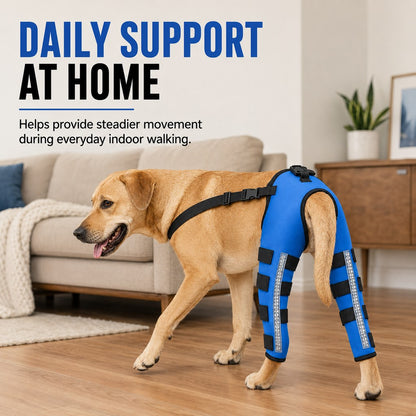 Paws in Awe Reflective Dog Rear Leg Support Brace for Evening Walks & Recovery Comfort image 2