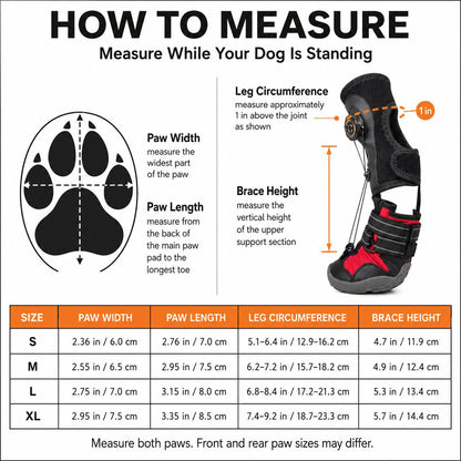 Reflective double strap dog paw boot