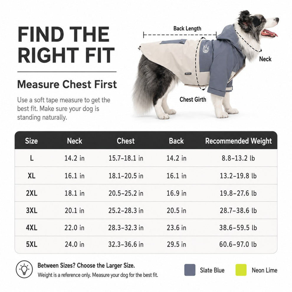 Paws in Awe Lightweight Water-Resistant Dog Windbreaker – Rain & Wind Coverage for Chilly Walks image 10