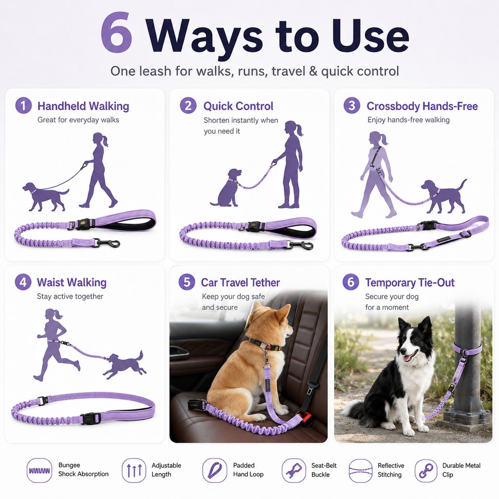 Paws in Awe Hands-Free Shock-Absorbing Dog Leash for Running, Walking & Car Travel - Bungee Leash Helps Reduce Pulling image 5