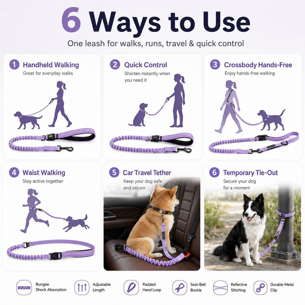 Paws in Awe Hands-Free Shock-Absorbing Dog Leash for Running, Walking & Car Travel - Bungee Leash Helps Reduce Pulling image 5