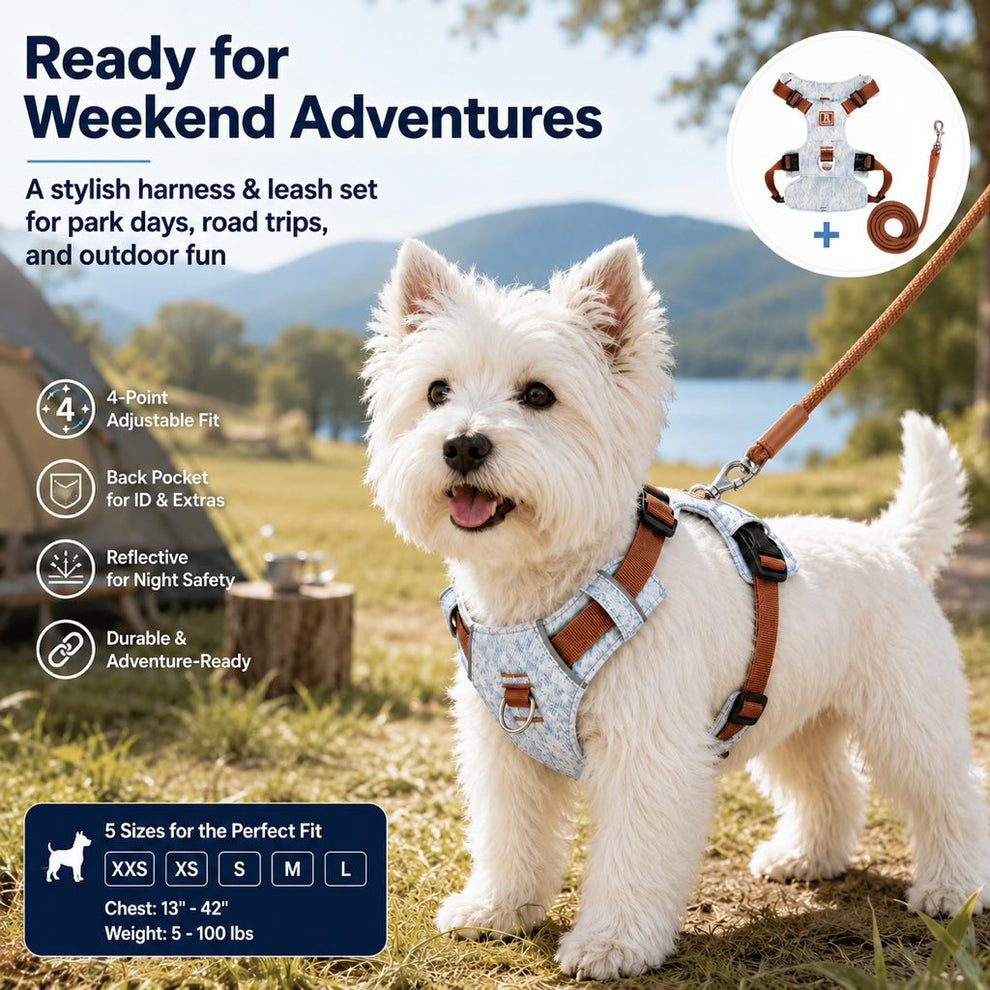 Paws in Awe Vintage Denim No-Pull Dog Harness &5 ft Rope Leash Set - Soft Adjustable Vest for Everyday Walks, Better Control & Low-Light Visibility image 2
