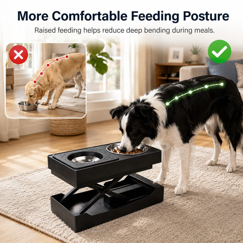 Paws in Awe Remote-Control Adjustable Dog Feeding Station for Home Meals - Helps Reduce Neck Bending, Slow Fast Eating & Keep Floors Cleaner image 3